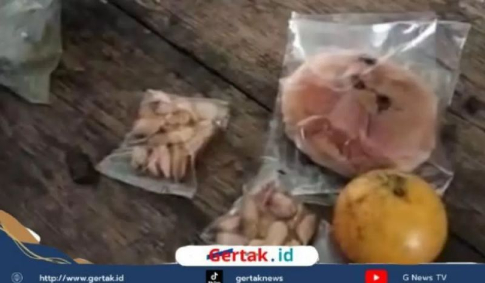Menu MBG di Desa Sukadana Diprotes, Hanya Roti dan Agar-agar Berair, Benarkah Ini Wujud Anggaran Rp15 Ribu per Porsi?