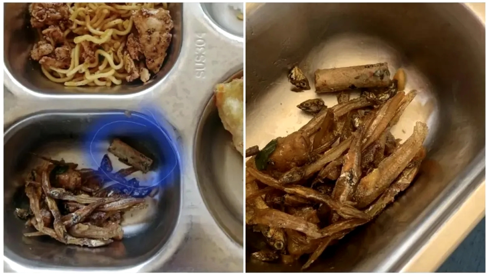 Kelalaian Fatal, Menu Makan Bergizi Gratis di Wonogiri Tercampur Puntung Rokok, Bagaimana Pengawasannya?