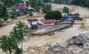 Hujan, Hutan, dan Hukum Yang Melonggar