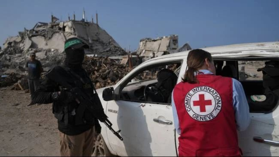 Reaksi Hamas Indonesia Bakal Kirim Pasukan Perdamaian ke Gaza, Soroti Ini