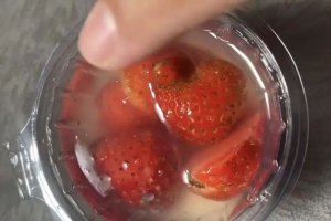Wali Murid di Kota Malang menunjukkan ada belatung di menu MBG Puding Stroberi. 