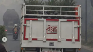 Truk kopdes angkut sawit