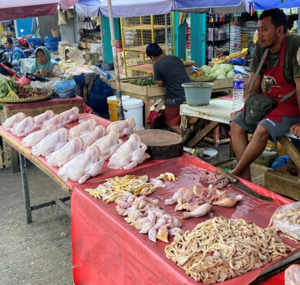 Pedagang Pasar dan Penjual Makanan Sekolah Tertekan Akibat MBG