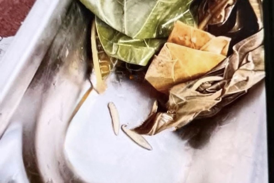 Menu MBG di Bangkalan Ada Ulat, SPPG: Itu Jenis Ulat yang Bisa Dikonsumsi dan Tinggi Protein