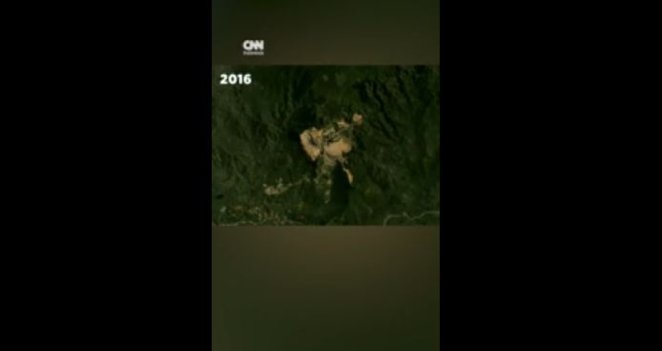 Citra Satelit Rekam Deforestasi Brutal di Sumut, Walhi Bantah Bobby