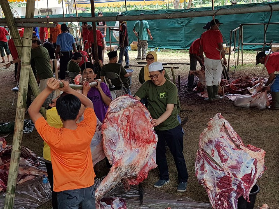 Ketika Kambing Dan Sapi Menjadi Filsuf