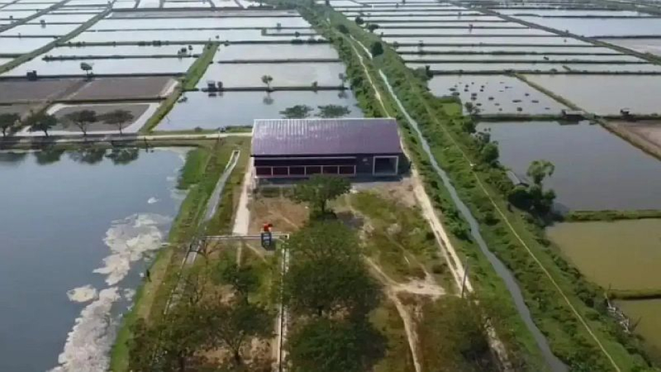 Berdiri di Tengah Tambak, Koperasi Langgenharjo Menuai Sorotan admin  Sabtu, 4 Jul 2026 | 17:17 WIB  MENUAI SOROTAN: Bangunan Koperasi Desa Merah Putih (KDMP) Langgenharjo, Margoyoso, Pati, yang berada di tengah tambak. 